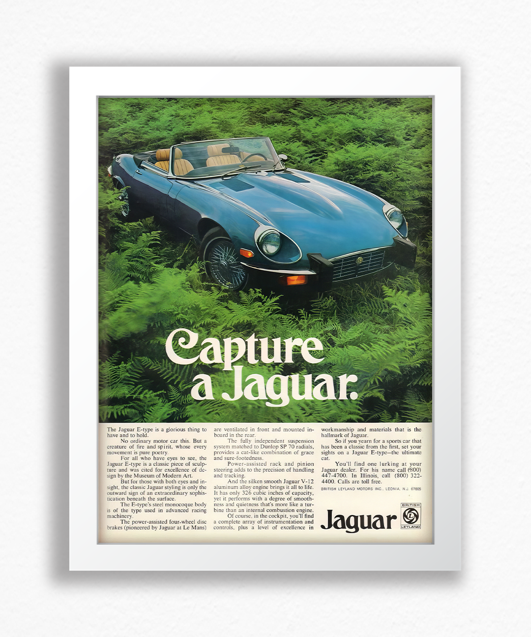 Capture a jaguar