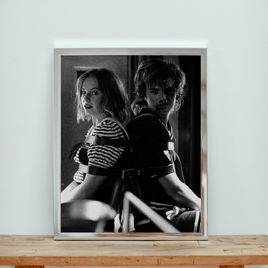 Stranger Things Steve and Robin