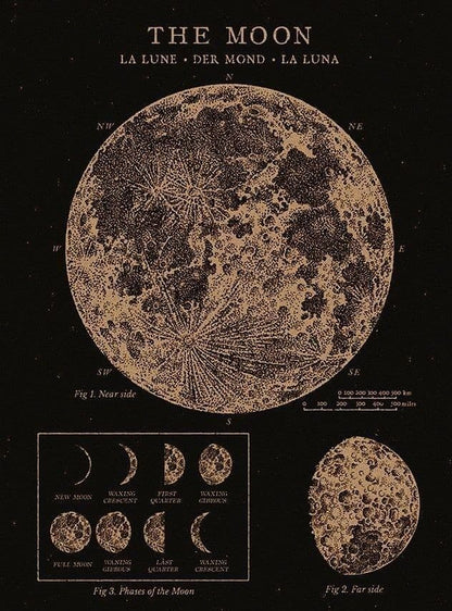 The moon